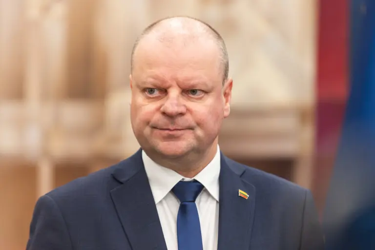 Skvernelis apie busimus Prezidento rinkimus: laukia Žemaitaičio ir Budrio kova