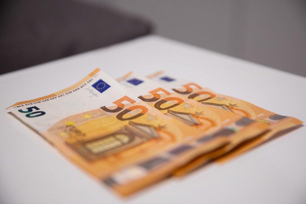 Eurai (Žygimantas Gedvila/ BNS nuotr.) Eurai (Žygimantas Gedvila/ BNS nuotr.)