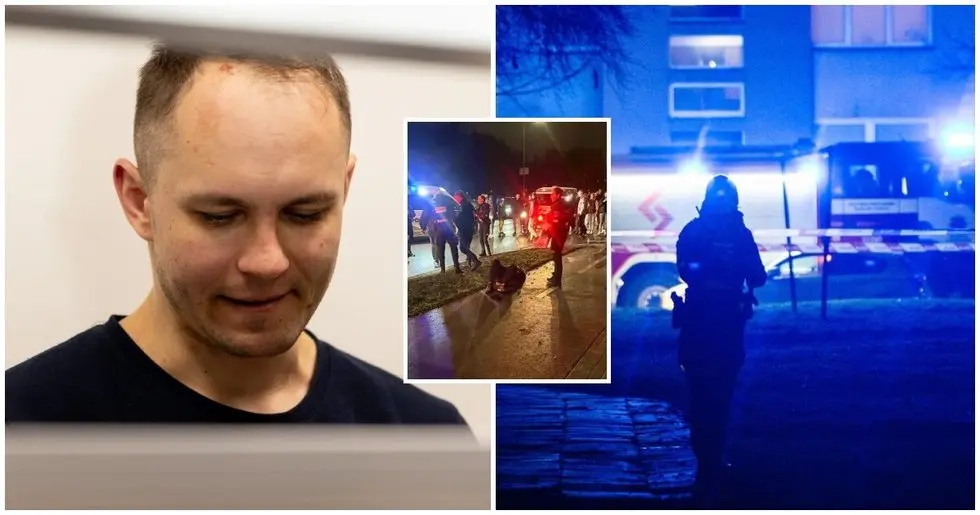 Psichologas įvertino kauniečių veiksmus gaudant 2 merginų žudiką (nuotr. Teodoras Biliūnas/BNS, ELTA/Aurimas Barkauskas, facebook.com