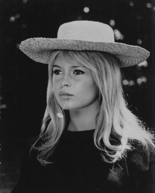 Brigitte Bardot (nuotr. SCANPIX)