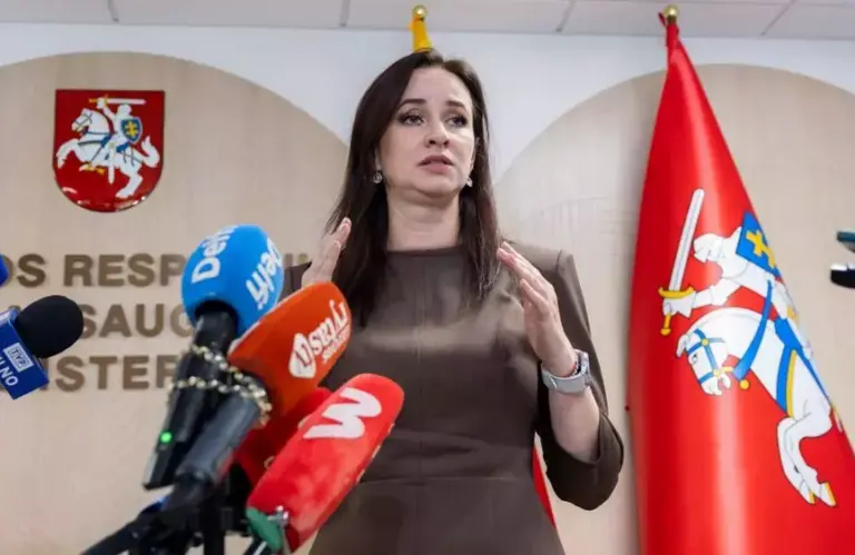 Ruginienė pratrūko: ko trūksta Lietuvoje – „Negirdime kitos nuomonės“