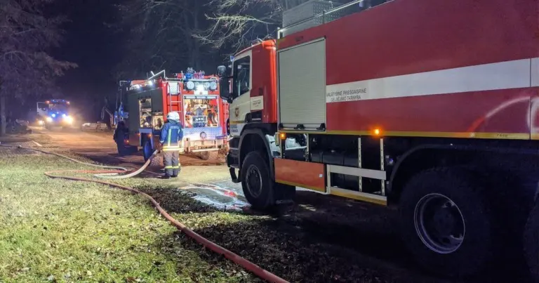 Alytuje – neįprasta gelbėjimo operacija: ant kranto stovėjęs vaikas verkė