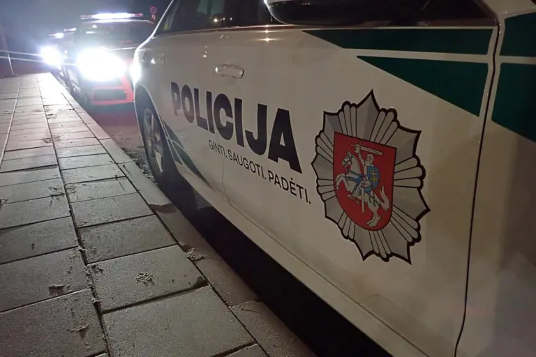 Girtas vyras Tauragėje pasmaugė du šunis ir išmetė juos į šiukšlių konteinerį