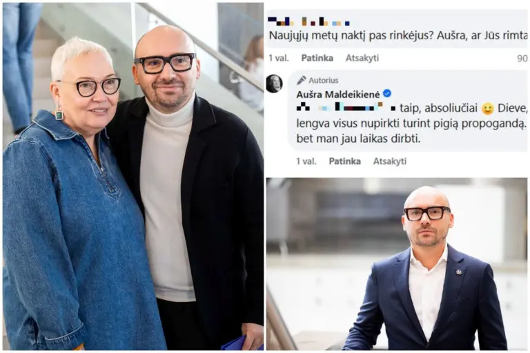 Mokesčių mokėtojų lėšas naujametę naktį leidusio M. Maldeikio stojo ginti mama: esą, važiavo pas rinkėjus