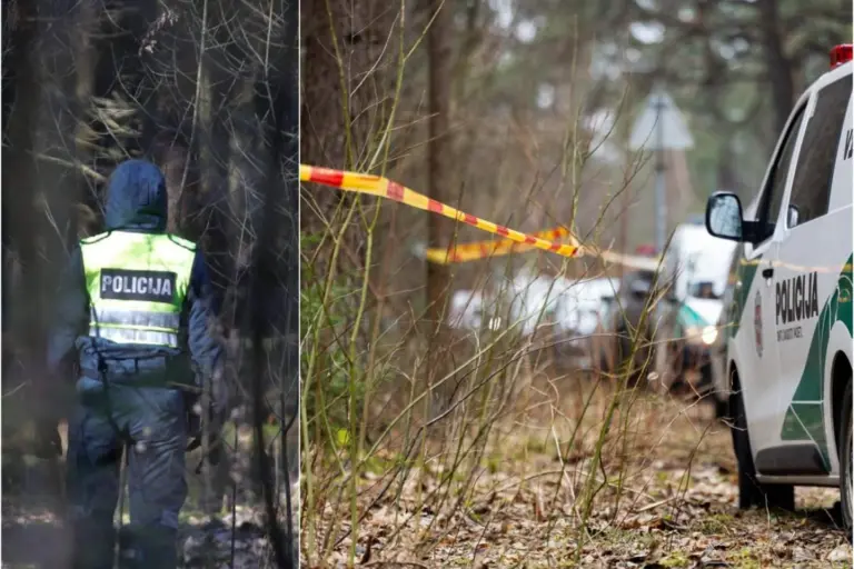 Paaiškėjo daugiau detalių apie poros iš Šiaulių mirtį: prie miško rastas jos automobilis