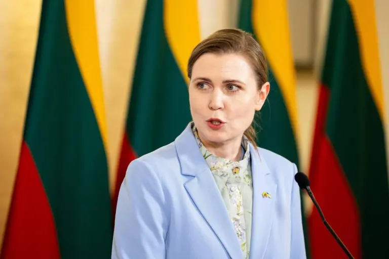KAM neigia D. Šakalienės nurodymą tarnyboms saugoti jos šeimos namus