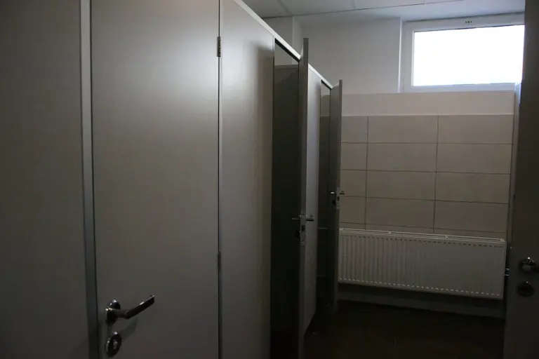 Vilniaus gimnazijos tualete – protu nesuvokiami dalykai: septynmetį prievartavo vyresnis moksleivis
