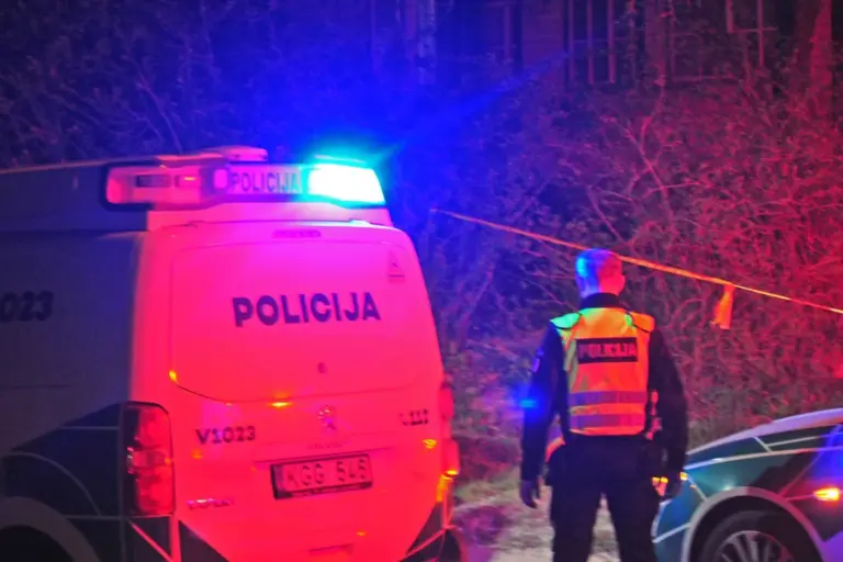Policijos girti sustabdyti vyrai dėl visko apkaltino sugėrovą: grįžę išvilko iš lovos ir surengė žiaurią egzekuciją