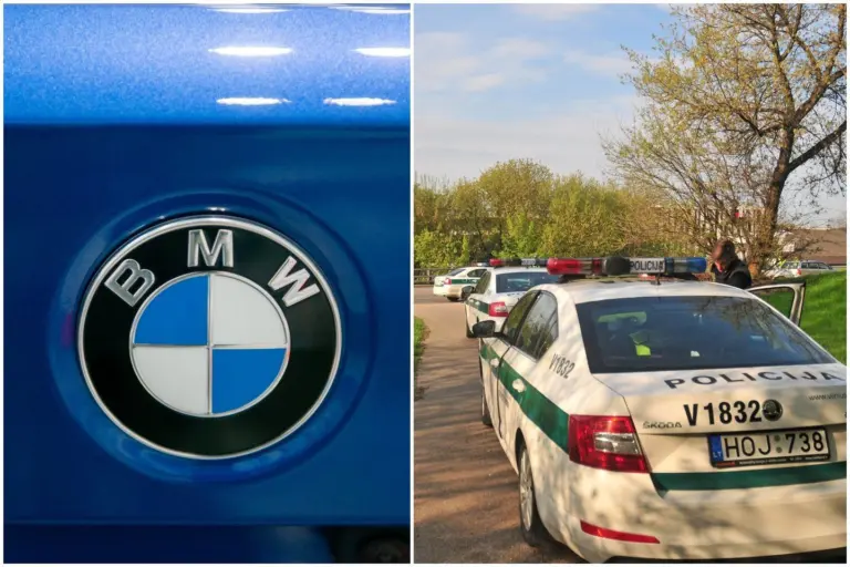 Vilniuje mirtina tragedija: BMW partrenkė šunį vedžiojusią moterį – keturkojis draugas žuvo
