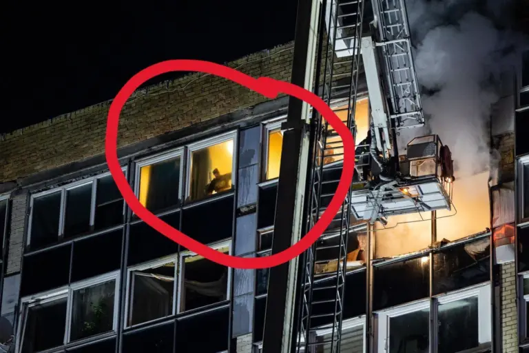 Stebėdami ugnies niokojamą kaimyno butą gyventojai lange išvydo kai ką, kas privertė išsižioti