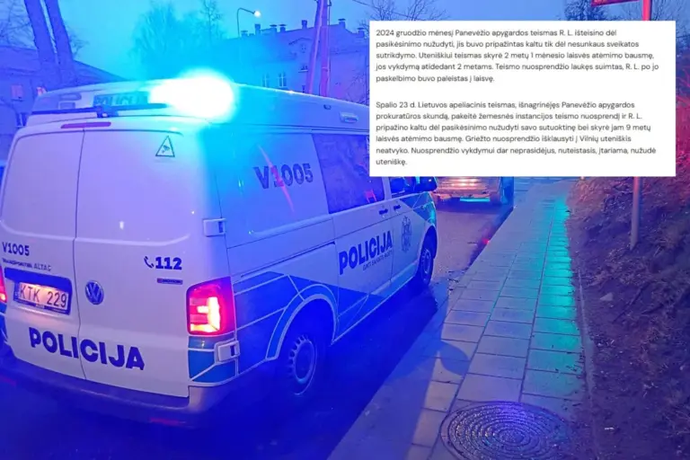 Siaubingo nužudymo Utenoje buvo galima išvengti? Pribloškė, ką leido teismas