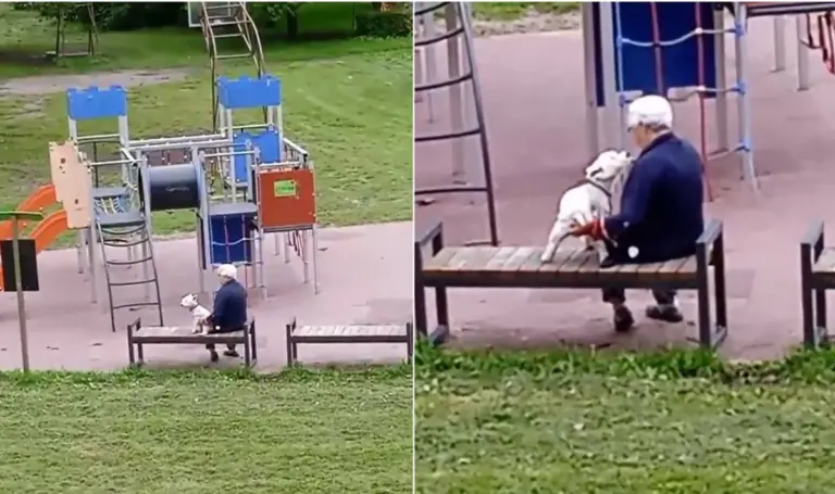 Plinta kraupus vaizdo įrašas: vaikų žaidimų aikštelėje užfiksavo zoofilišką elgesį