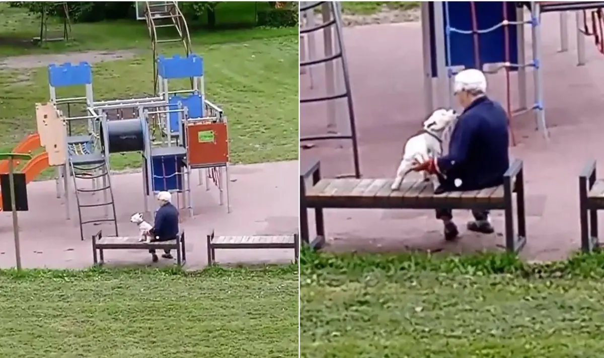 Plinta kraupus vaizdo įrašas: vaikų žaidimų aikštelėje užfiksavo zoofilišką elgesį