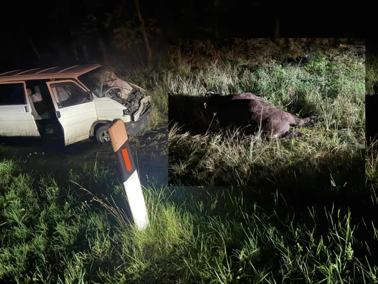 Retas atvejis: Druskininkų savivaldybėje automobilis susidūrė su stumbru