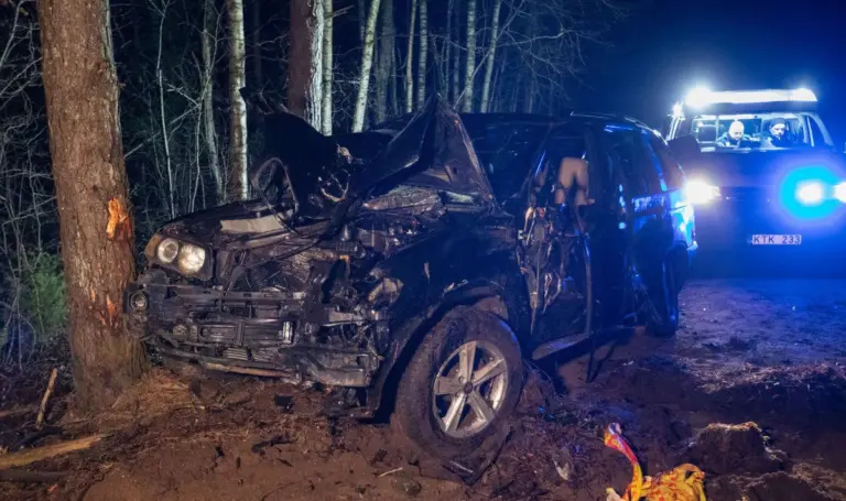 Kraupi avarija Alytaus rajone: BMW rėžėsi į stulpą, po to į medį, du vyrai žuvo