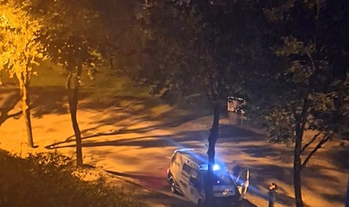 Paryčiais telšiškius pažadino keistas garsas: pro langą išvydo sudaužytą policijos automobilį ir už galvos susiėmusią pareigūnę