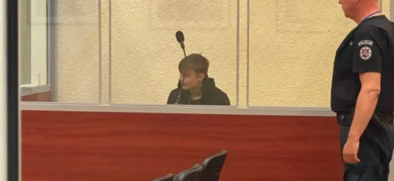 Trijų vaikų tėvą ir mamą kelyje pražudęs įtariamasis 19-metis atvesdintas į Panevėžio teismą