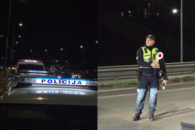 Susidūrėte su gyvūnu kelyje? Rizikuojate prarasti tiek automobilį, tiek vairuotojo pažymėjimą
