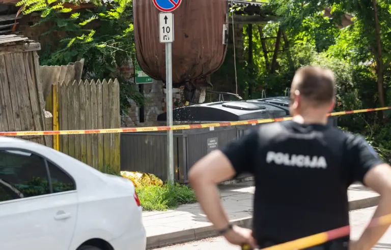 Tragedija Vilniuje: dingusio paauglio kūno dalys rastos šiukšlių konteineriuose
