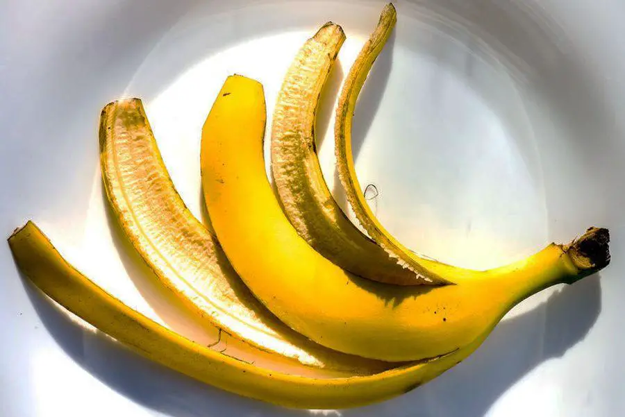 Neišmeskite bananų žievelių: 34 būdai, kaip jas naudoti