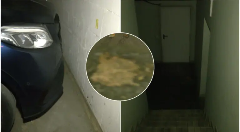 Neblaivią ir sąmonės netekusią 14-metę jaunimas paslėpė: „Kai turi tokius draugus, priešų nebereikia“
