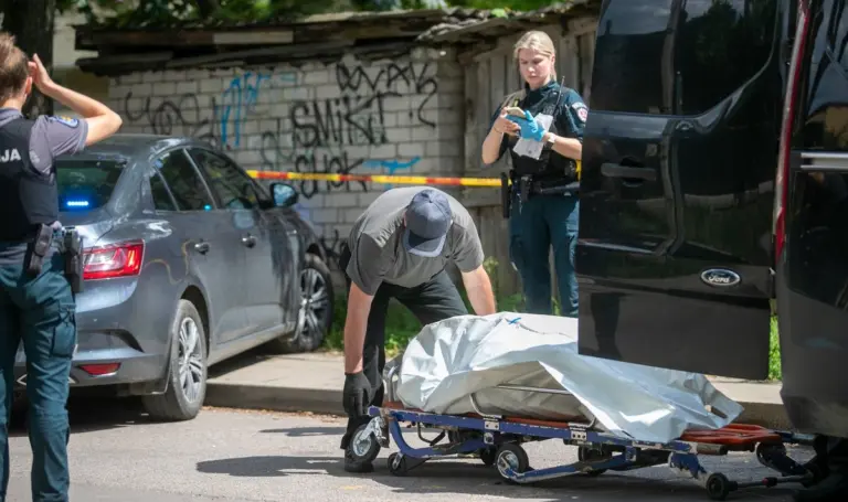 Aiškėja pagrindinė priežastis, kodėl įvyko šiurpą keliantis 15-mečio nužudymas