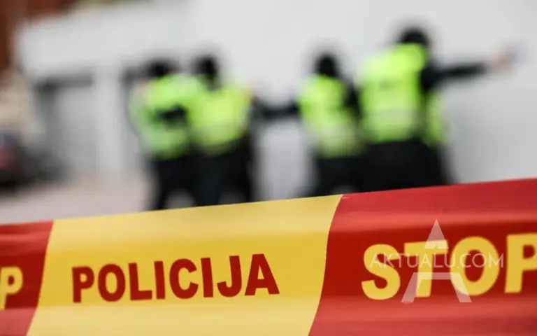 Sukrečianti jaunųjų Lietuvos monstrų „puota“: per siaubingą egzekuciją – šokiruojantis brolių elgesys