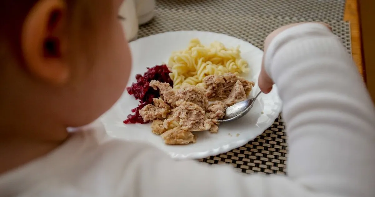 Neįtikėtinos kainos: 40 centų už sriubą ir 15 už antrą patiekalą – štai kaip maitina mokyklose jūsų vaikus