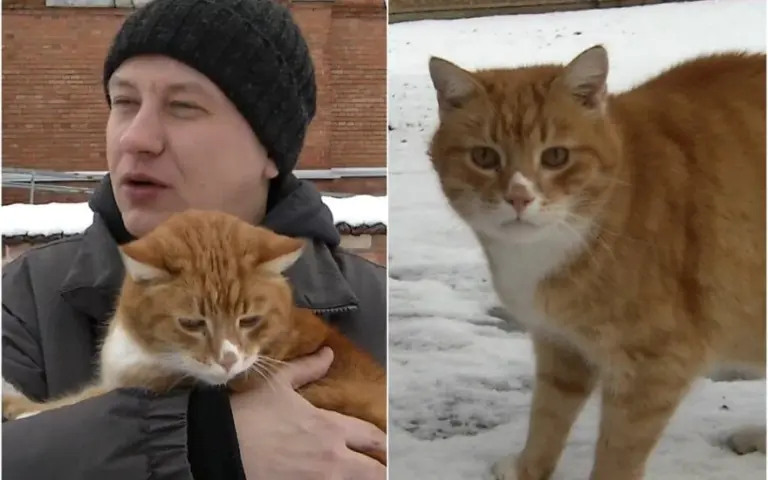 Garsusis Kernavės katinas: pats užsidirba pragyvenimui, išlaiko brolį ir paskolina pinigų kunigui (VIDEO)