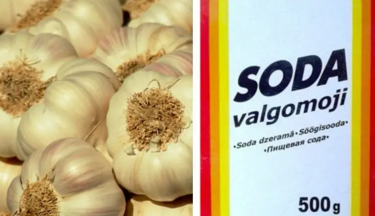 Ilgai sirgau, o išsigydžiau paprasčiausiai su soda ir česnaku