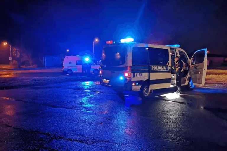 Tragedija Šilutės rajone: elektra užmušė 2021 m. gimusį berniuką