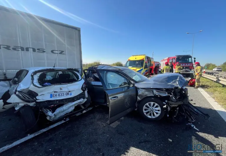 Didžiulė tragedija: lietuvis pražudė keturis žmones