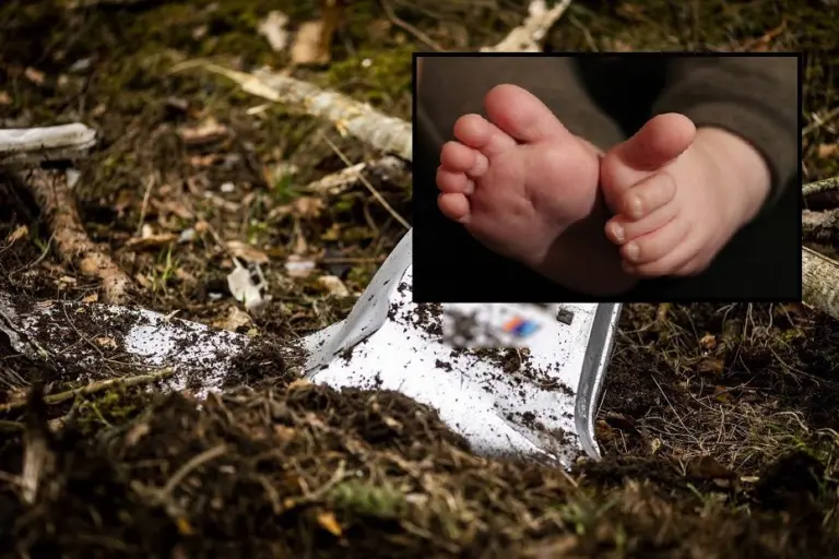Šiurpu: mažylė žuvo lig šiol krištolinės biografijos jos tėvui rėžusis į vienintelį pakelės medį