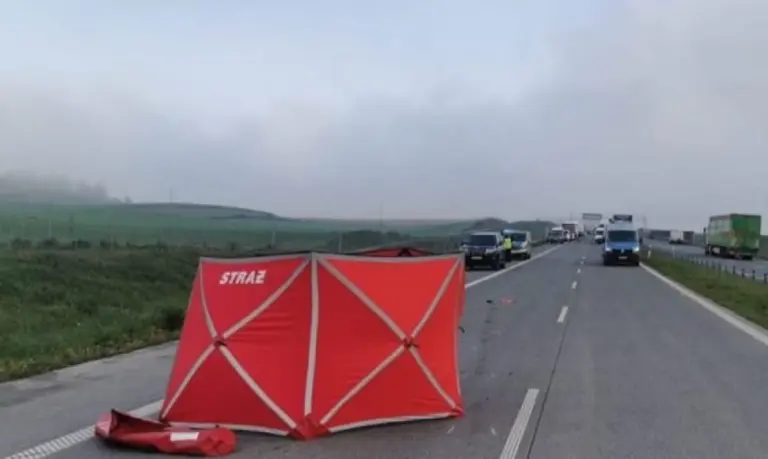 „Nekaltas sustojimas virto tragedija“: Lenkijos greitkelyje žuvo 25-erių metų lietuvis