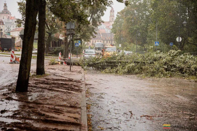Lietuvos gyventojai įspėjami: skvalas ateina – niekas nebus saugus!