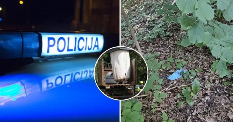 Aiškėja daugiau detalių apie 15-mečio nužudymą: štai kokios pagrindinės versijos, kodėl susidorojo