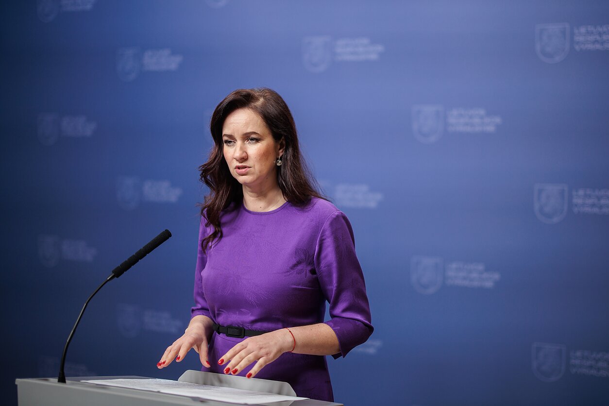 Lietuvos gynybos dilema: oro gynyba ar poligonas? Premjerė Ruginienė atskleidžia strateginius planus ir perspėja dėl supriešinimo