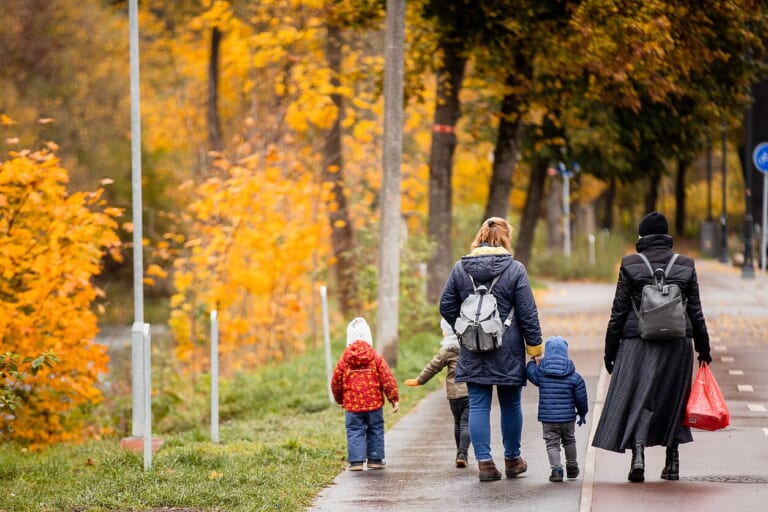 Seimo aklavietė: ar referendumas dėl šeimos sampratos spręs demografinę krizę?