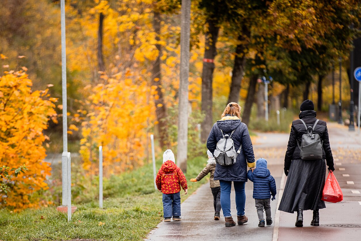 Seimo aklavietė: ar referendumas dėl šeimos sampratos spręs demografinę krizę?