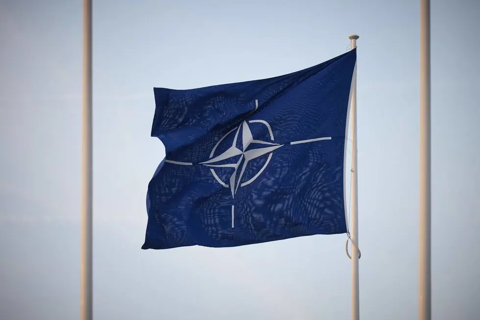 Nato vėliava