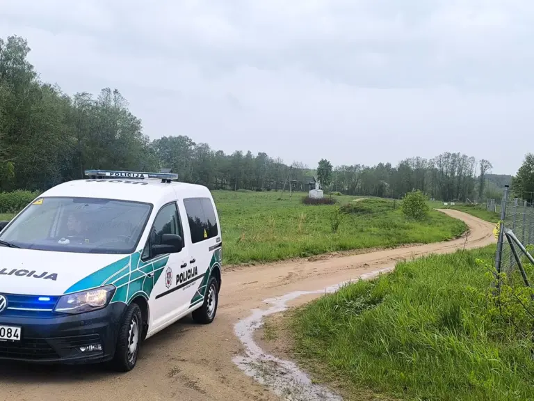 Naujausios detalės apie Utenos rajone nukritusį droną