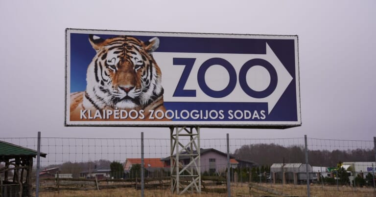 „Pažeidimai nėra pašalinti“: Klaipėdos zoologijos sodui uždrausta įleisti lankytojus (kas atsitiko?)