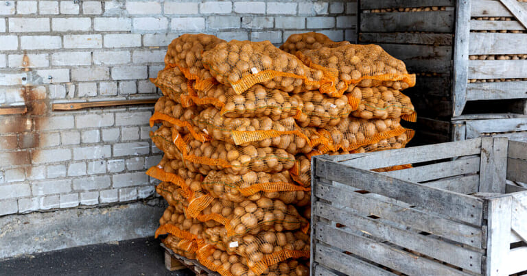 Kėdainių rajone iškils 35 mln. eurų vertės gamykla (produkcija nustebins)