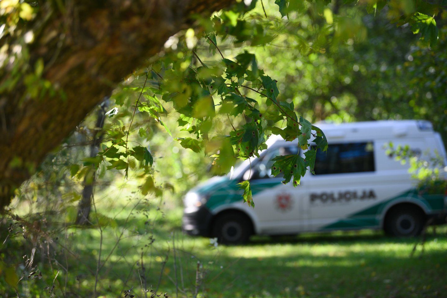 Miške aptikti mirtini spąstai: pavojingas radinys šokiravo apylinkės gyventojus
