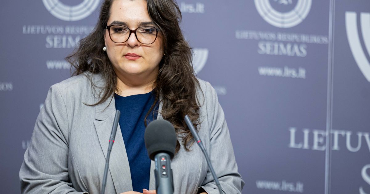 Valstybės kontrolė: krašto apsaugos pirkimų sistema patikima, bet reikalauja spartaus tobulinimo