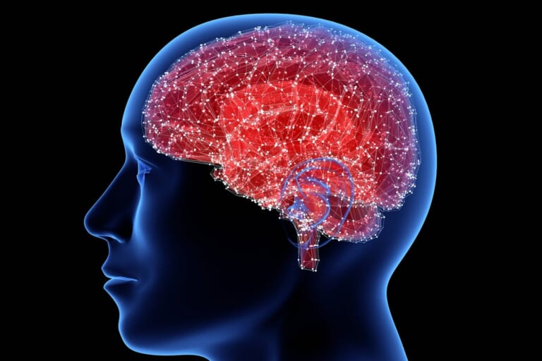 LSMU mokslininkė perspėja: ilgėjanti gyvenimo trukmė didina Alzheimerio ligos riziką