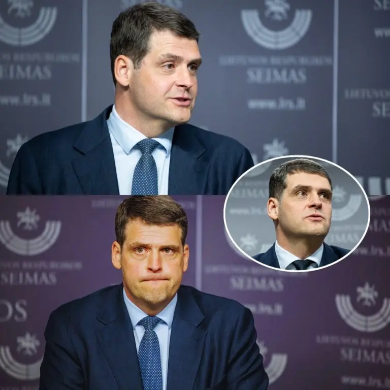 Žemaitaitis smogia be užuolankų: jei būčiau premjeras, Budrys jau būtų už durų
