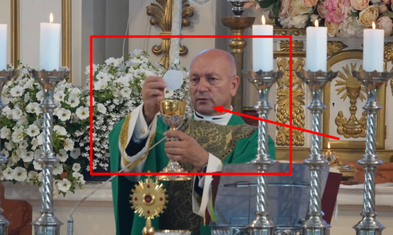 Garsus klebonas nustebino namų nuotrauka – tūkstančiai sureagavo: „Visa šeima drauge“ (pamatyk foto)