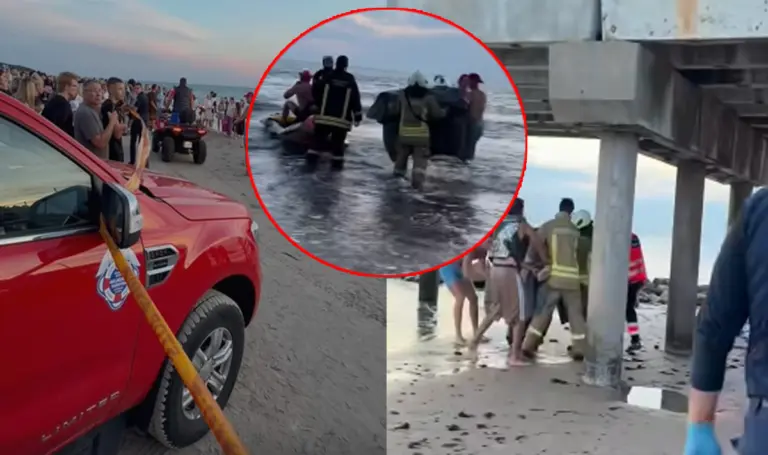 Po tragedijos Palangoje – gelbėtojas kreipėsi į žmones: paviešino šiurpinančius vaizdus