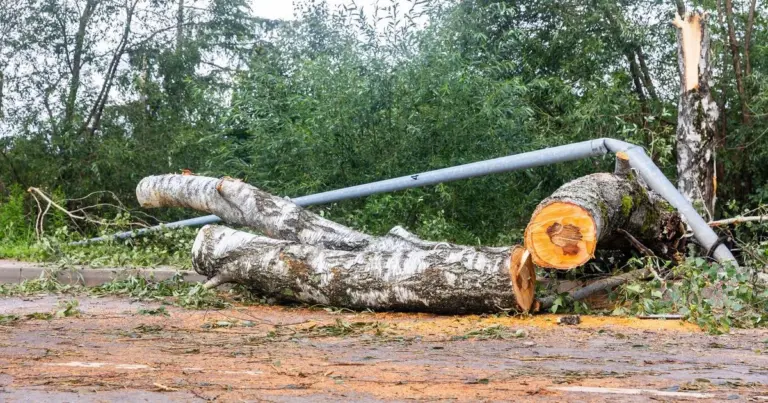 Smogus audrai – rekordinis savaitgalis tarnyboms: užpylė tūkstančiai skambučių
